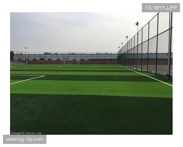 围绕三江口十一人制足球运动发展与社区活力提升的综合探讨新路径