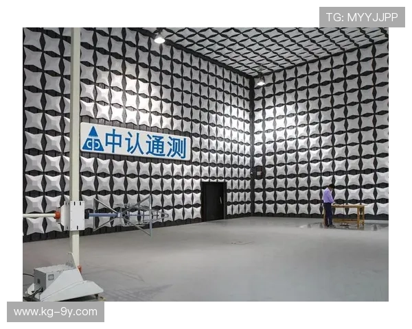 阳西足球场收费标准详解 让你了解租场费用和使用情况